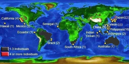 Map of confirmed megamouth sightings