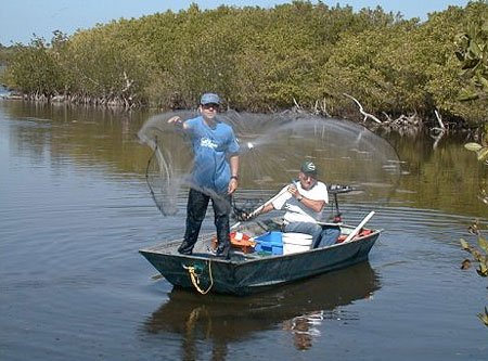 Cast nets are often used to catch mullet in saltwater habitats. Image courtesy U.S. Geological Survey