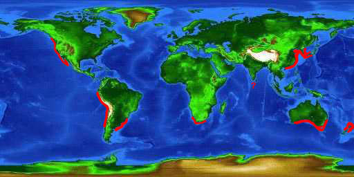 World distribution map for the sevengill shark