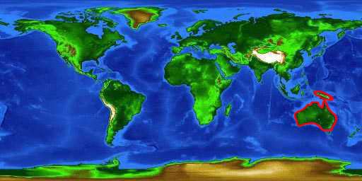 World distribution map for the ornate wobbegong