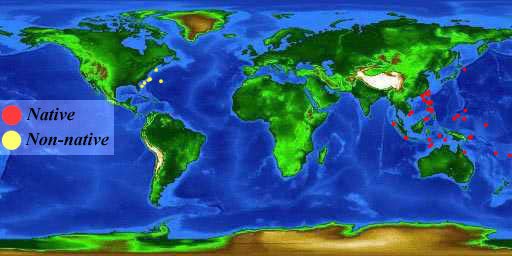 World distribution map for the red lionfish