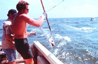 Sport fishing for king mackerel. Photo courtesy NOAA