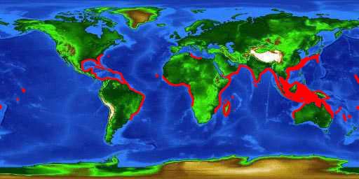 World distribution map for the greater amberjack