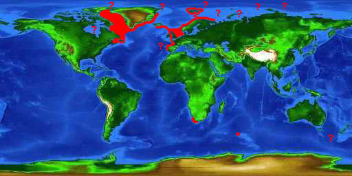 World distribution map for the Greenland shark