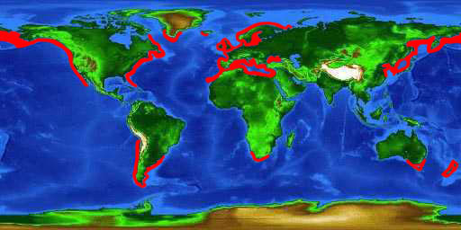 World distribution map for the spiny dogfish
