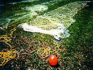 Gillnet. Photo courtesy NOAA