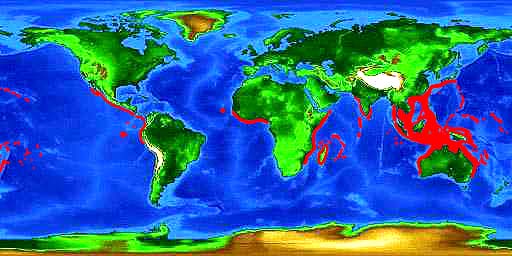 World distribution map for the blotched fantail ray