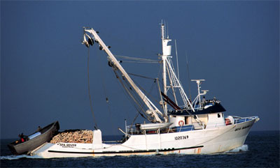 Tuna boat with purse seine searching for tuna. Photo courtesy Dann Blackwood/U.S. Geological Survey