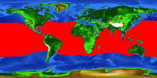 World distribution map for the yellowfin tuna