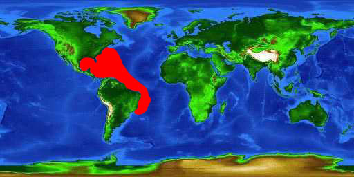 World distribution map for the blackfin tuna