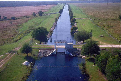 Canals of south Florida provide suitable habitat for many non-indigenous species including the spotted tilapia. Photo courtesy South Florida Water Management District