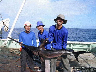 Swordfish catch. Photo © Craig Knickle