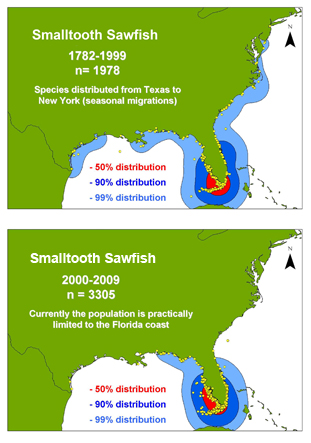 Smalltooth sawfish range map