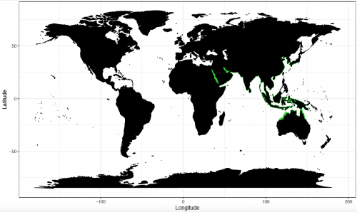 World distribution for the knifetooth sawfish. Map © Chondrichthyan Tree of Life