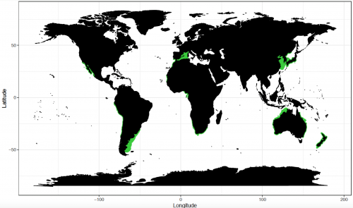 World distribution for the bronze whaler shark. Map © Chondrichthyan Tree of Life