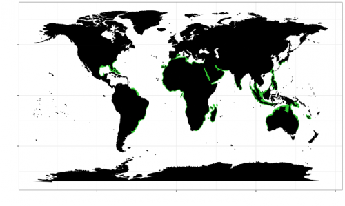 World distribution of the spinner shark. Map © Chondrichthyan Tree of Life