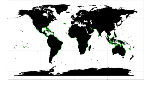 Geographic range of the bull shark. Map © Chondrichthyan Tree of Life