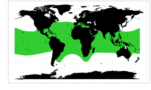 World distribution of the oceanic whitetip shark. Map © Chondrichthyan Tree of Life