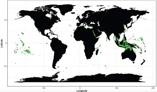 World distribution for the blacktip reef shark. Map © Chondrichthyan Tree of Life