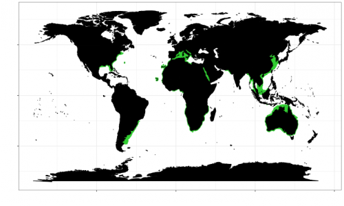 World distribution for the sand tiger shark. Map © Chondrichthyan Tree of Life