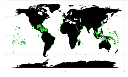 World distribution of the tiger shark. Map © Chondrichthyan Tree of Life