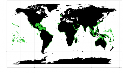 tiger shark classification chart