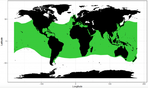 World distribution for the shortfin mako shark. Map © Chondrichthyan Tree of Life