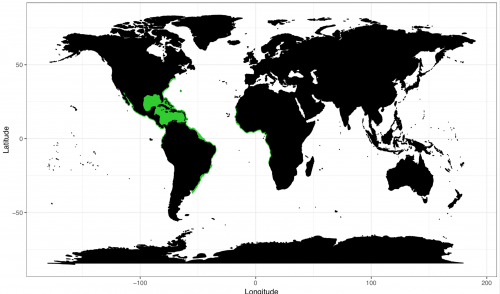 World distribution for the lemon shark. Map © Chondrichthyan Tree of Life