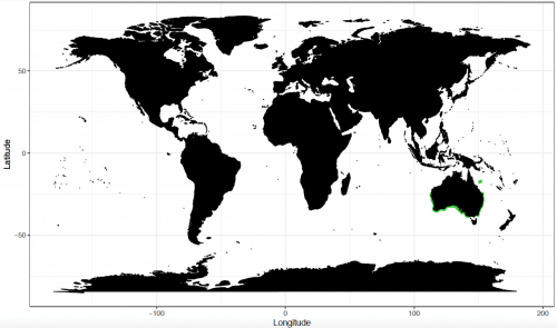 World distribution for the spotted wobbegong. Map © Chondrichthyan Tree of Life