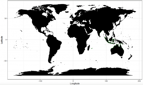 World distribution for the dwarf sawfish. Map © Chondrichthyan Tree of Life