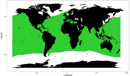 World distribution for the blue shark. Map © Chondrichthyan Tree of Life