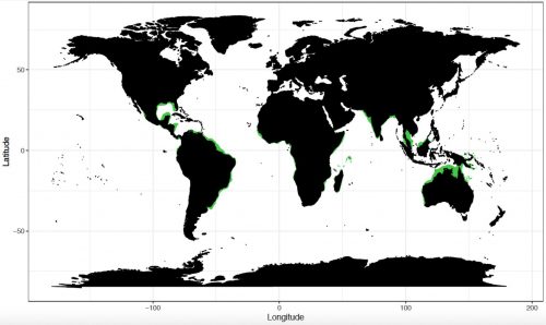 World distribution for the largetooth sawfish. Map © Chondrichthyan Tree of Life