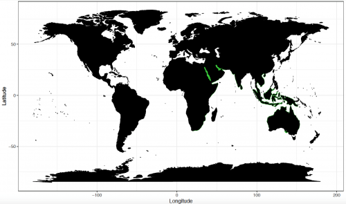 World distribution for the green sawfish. Map © Chondrichthyan Tree of Life