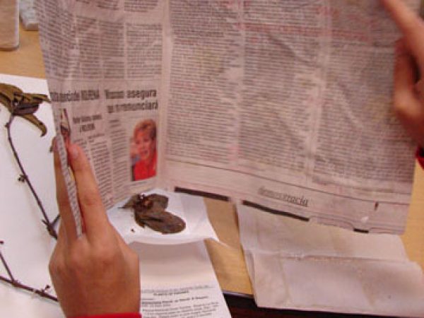 add fragment contents