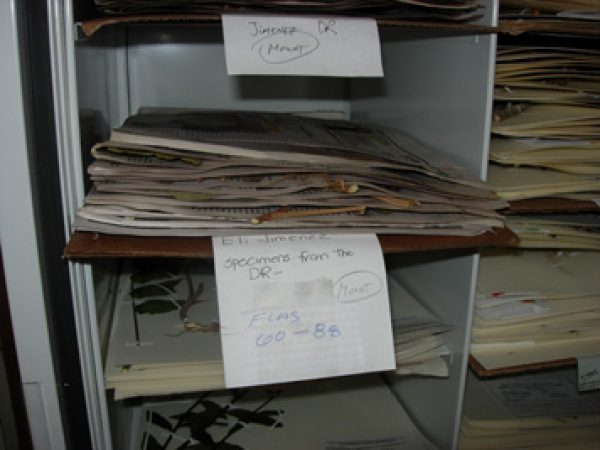 mounting cabinet shelf