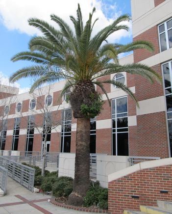 outside shot of building