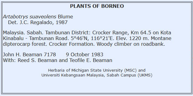 Label example Plants of Borneo