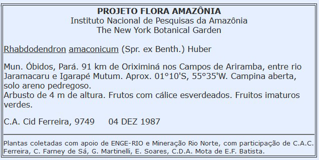 Label Example Project Flora Amazonia