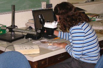 scientist looking through microscope to see a plant specimen