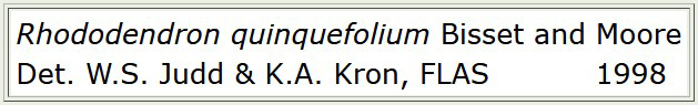 example of basic annotation for Rhododendron quinquefolium