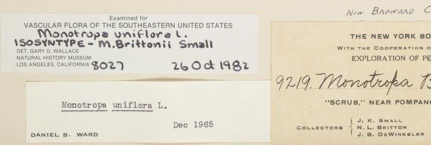 sample of annotation cards - two annotations are positioned to the left of the label