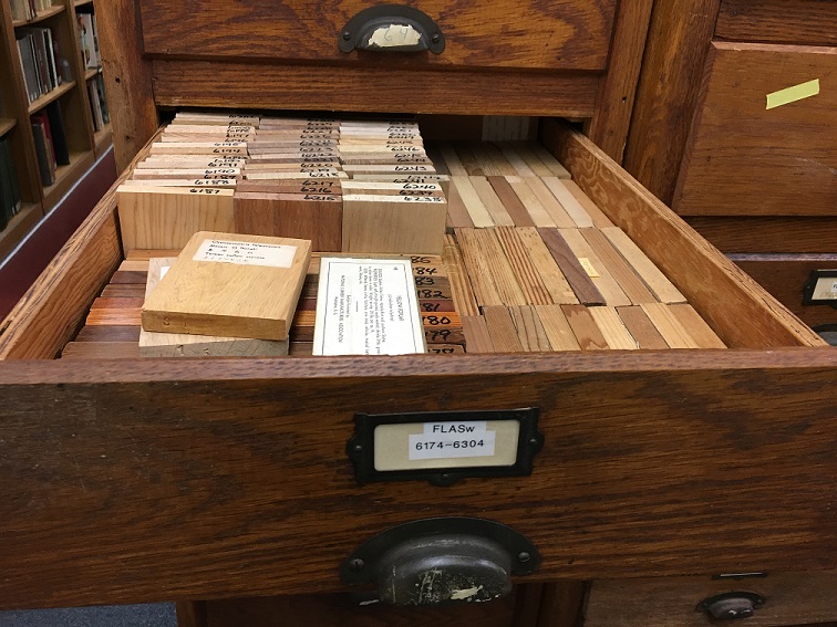 wooden drawer open to show stacked of uniform wood samples each with a label