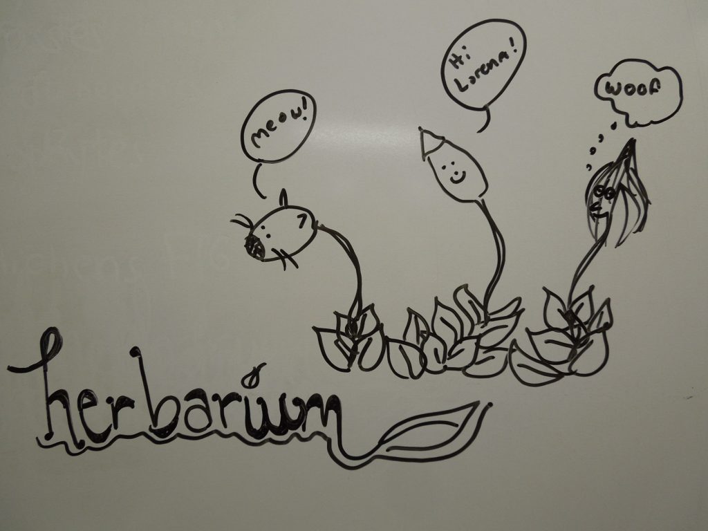 cartoon drawing of plants