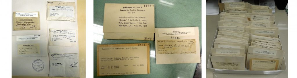 older specimen cards