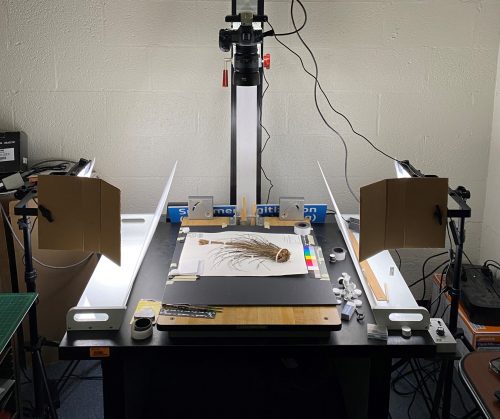 FLAS herbarium Canon R5 imaging station