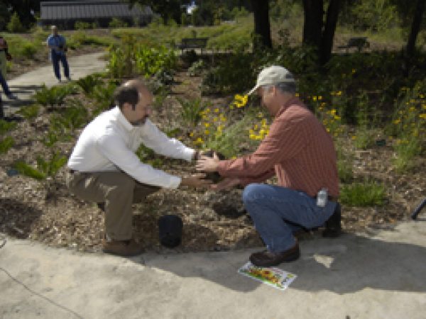two men place a plant in the ground
