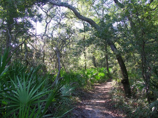 river trail at O'Leno State Park