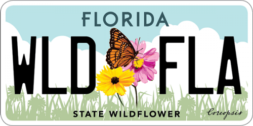 Florida wildflower vehicle license plate