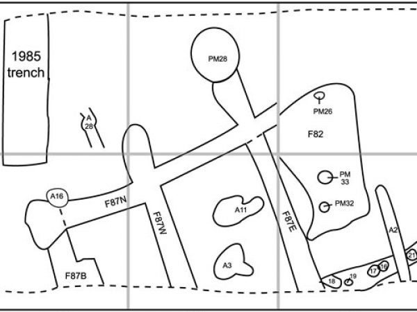 Sleeper stains from a Menendez-era structure, Feature 87, Block 3, 8-SJ-31