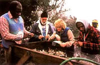 Artifacts as they are recovered during screening at Fort Mose.